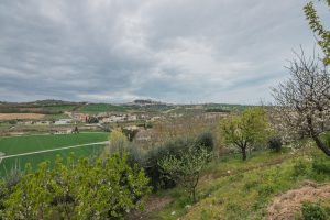 L'Agenzia Immobiliare Puzielli propone casale al grezzo in vendita a Fermo nelle Marche