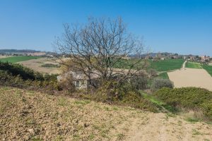 L'Agenzia Immobiliare Puzielli propone casolare in vendita a Lapedona nelle Marche