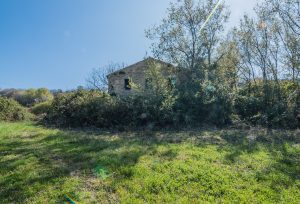 L'Agenzia Immobiliare Puzielli propone casolare in vendita a Lapedona nelle Marche