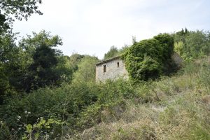 L'Agenzia Immobiliare Puzielli propone casa colonica da ristrutturare in vendita a Montefiore dell'Aso