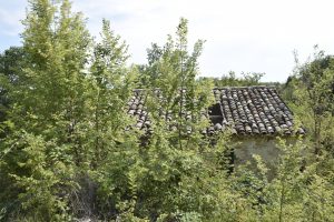 L'Agenzia Immobiliare Puzielli propone casa colonica da ristrutturare in vendita a Montefiore dell'Aso