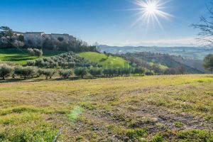 L’Agenzia Immobiliare Puzielli propone antico casale da ristrutturare con stupenda vista panorami (7)