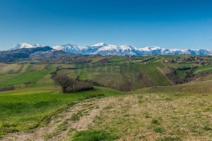 L’Agenzia Immobiliare Puzielli propone casale a Falerone con vista panoramica dei Monti Sibillin (11)