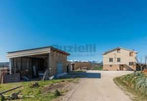 L’Agenzia Immobiliare Puzielli propone casale a Falerone con vista panoramica dei Monti Sibillin (18)