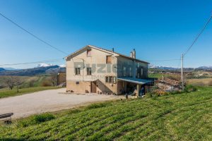 L’Agenzia Immobiliare Puzielli propone casale a Falerone con vista panoramica dei Monti Sibillin (3)
