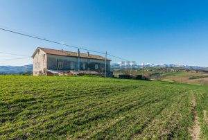 L’Agenzia Immobiliare Puzielli propone casale a Falerone con vista panoramica dei Monti Sibillin (6)