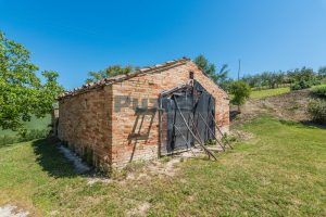 L’Agenzia Immobiliare Puzielli propone casa singola con vista panoramica in vendita a Montegranaro (16)