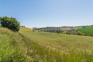 L’Agenzia Immobiliare Puzielli propone terreno edificabile in vendita a Fermo (10)
