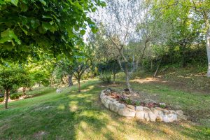 L’Agenzia Immobiliare Puzielli propone villa con parco in vendita vicino Ascoli Piceno nelle Marche (14)