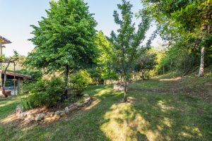L’Agenzia Immobiliare Puzielli propone villa con parco in vendita vicino Ascoli Piceno nelle Marche (15)
