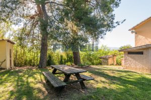 L’Agenzia Immobiliare Puzielli propone villa con parco in vendita vicino Ascoli Piceno nelle Marche (16)