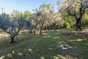 L’Agenzia Immobiliare Puzielli propone villa con parco in vendita vicino Ascoli Piceno nelle Marche (29)