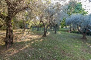 L’Agenzia Immobiliare Puzielli propone villa con parco in vendita vicino Ascoli Piceno nelle Marche (30)