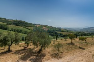L’Agenzia Immobiliare Puzielli propone prestigiosa proprietà con terreno in vendita a Montalto delle Marche (36)