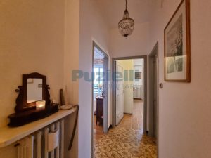 L'Agenzia Immobiliare Puzielli propone appartamento in vendita a Montegranaro (19)