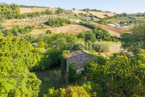 L'agenzia Immobiliare Puzielli propone casale da ristrutturare con Terreno a Massignano (11)