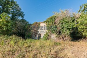 L'agenzia Immobiliare Puzielli propone casale da ristrutturare con Terreno a Massignano (15)