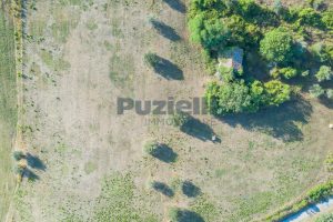 L'agenzia Immobiliare Puzielli propone casale da ristrutturare con Terreno a Massignano (3)