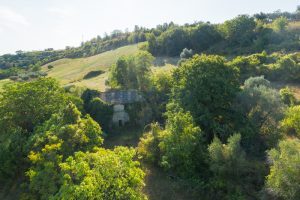 L'agenzia Immobiliare Puzielli propone casale da ristrutturare con Terreno a Massignano (8)