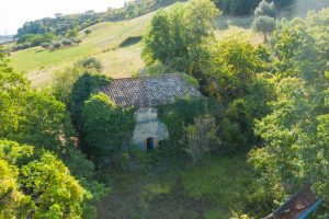 L'agenzia Immobiliare Puzielli propone casale da ristrutturare con Terreno a Massignano (9)