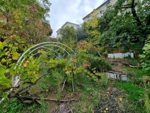 L'agenzia Immobiliare Puzielli propone casa singola con giardino in vendita a Petritol (49)