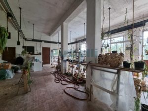 L'agenzia Immobiliare Puzielli propone casa singola con giardino in vendita a Petritol (51)