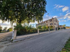 L’Agenzia Immobiliare Puzielli propone esclusivo appartamento con vista panoramica a Porto San G (29)
