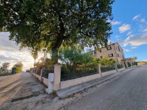 L’Agenzia Immobiliare Puzielli propone esclusivo appartamento con vista panoramica a Porto San G (30)