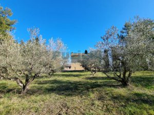 L'agenzia Immobiliare Puzielli propone villa a Faleron (17)