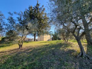 L'agenzia Immobiliare Puzielli propone villa a Faleron (99)