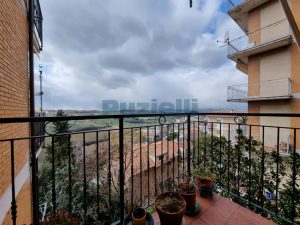 L’Agenzia Immobiliare Puzielli propone appartamento con vista panoramica (7)