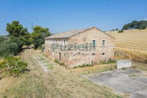 L’Agenzia Immobiliare Puzielli propone casale da ristrutturare in vendita a Fermo nelle Marche (6)